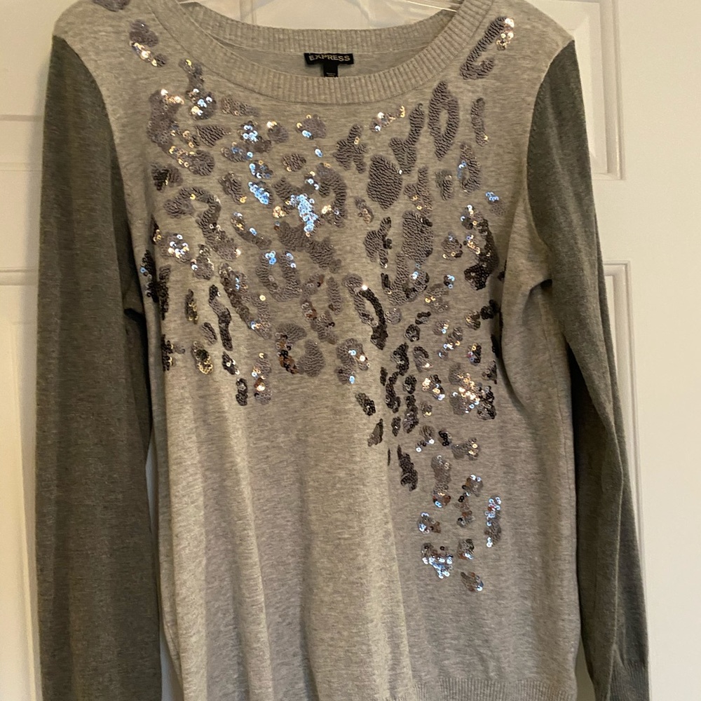Express sweater